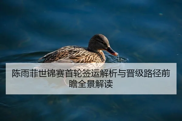 陈雨菲世锦赛首轮签运解析与晋级路径前瞻全景解读